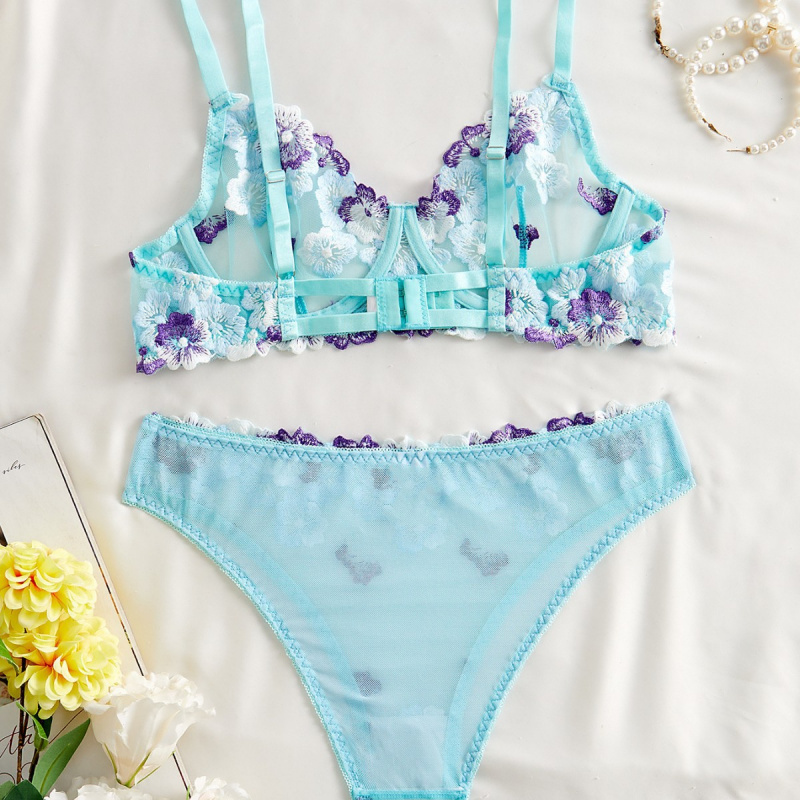 Bikini-Dessous-Set mit transpa – Sheer Bra Lace Bewertung und Preis